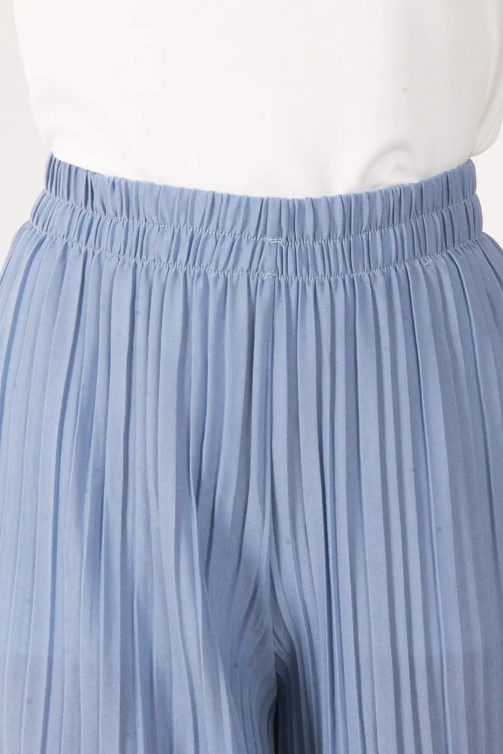 Full Length High Waist Pinstripe Pleated Culotte Trouser